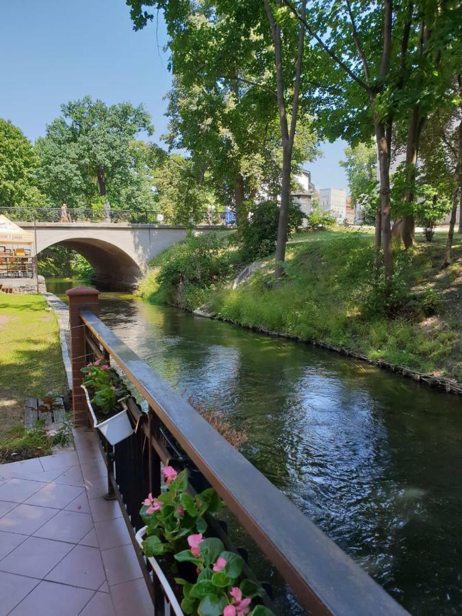 Kamienica Gorna 7 Apartment Opolznevoye Bagian luar foto